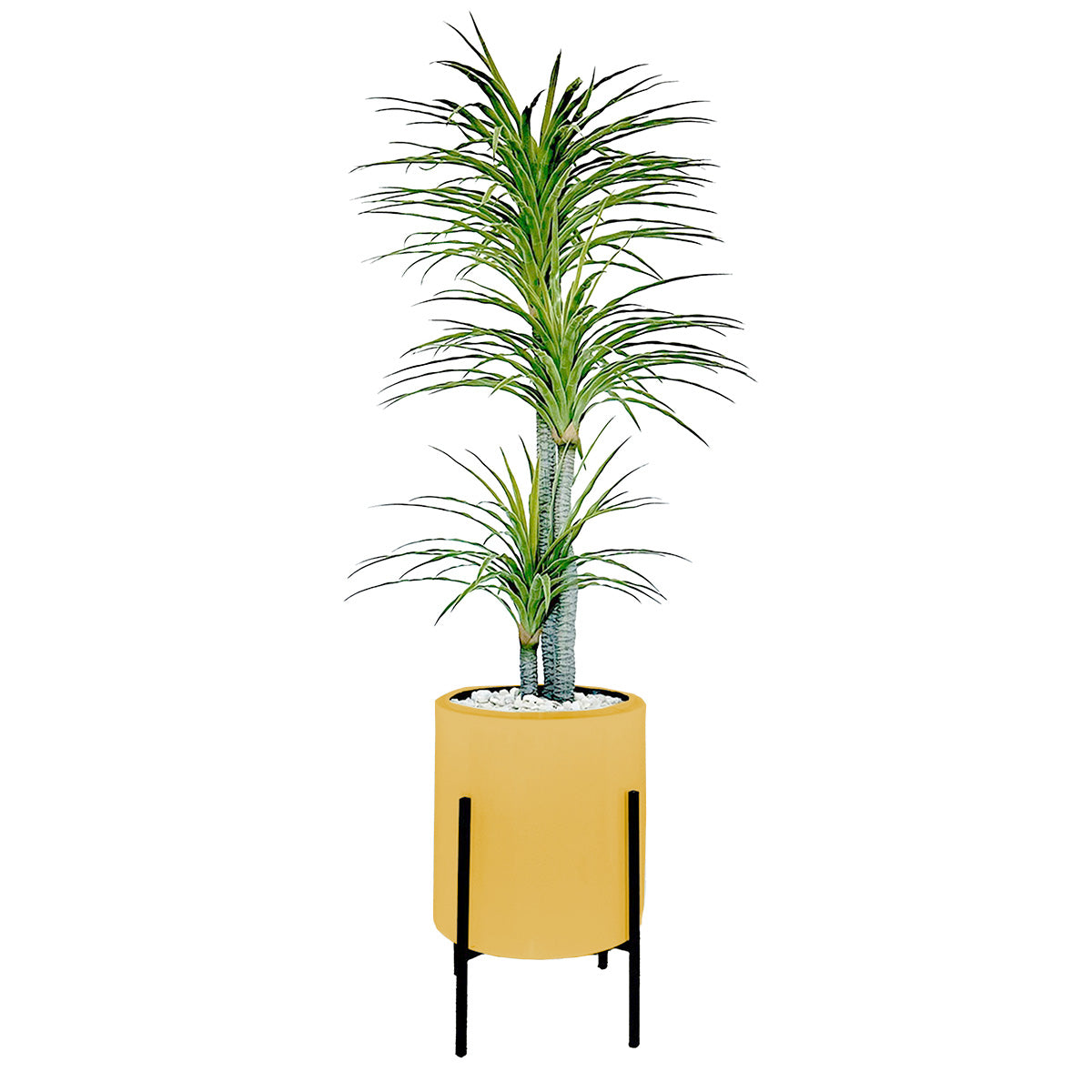 Maceta Jumbo con Dracena Artificial