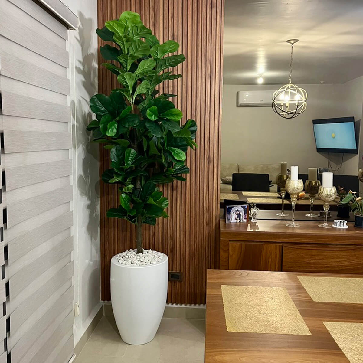 Maceta Bala con Pandurata Elegance (2.20 mts)